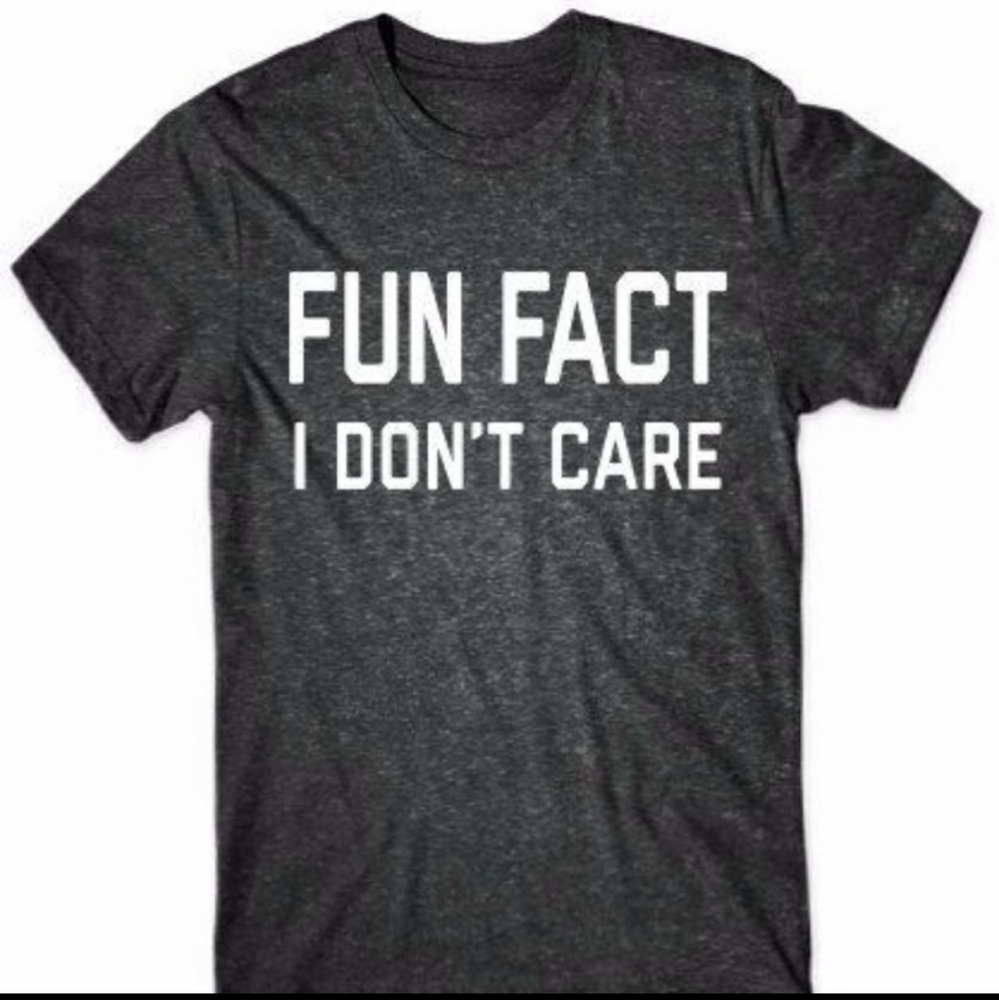 Fun Fact I Don't Care T-Shirt (Dark Heather)